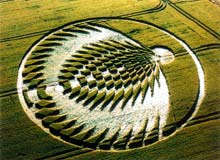 Crop circle