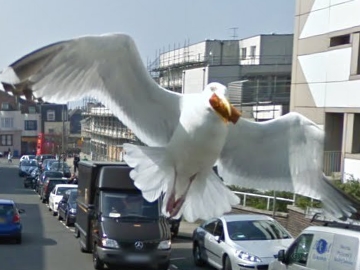 Vol de nourriture, sur Street View.