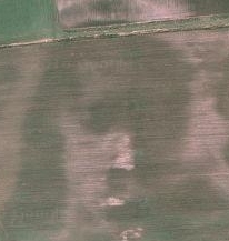 Google Earth nous révèle le visage du Christ dans un champ
