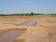 Désertification au Burkina Faso : mare pour irrigation 