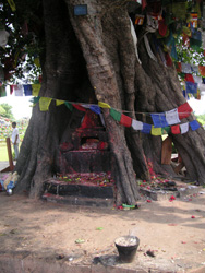 Lieu de naissance du Bouddha