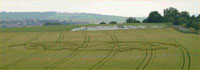 Crop circle à Brampton