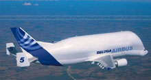 Beluga