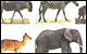 National Geographic : animaux et paysages d'Afrique (THD)