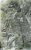 Nazca God: Semi-man Semi-bird