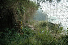 Biosphère 2 : vue de l'intérieur
