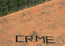 La déforestation est un crime