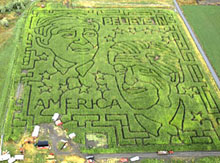 Labyrinthe-bush-kerry